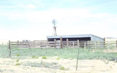 3 Miles SW of Clayton on Hwy 87, New Mexico